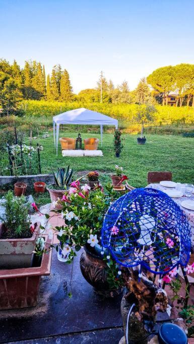 La Casa Nella Vigna Colline Del Vino Apartment คาปานโนริ ภายนอก รูปภาพ