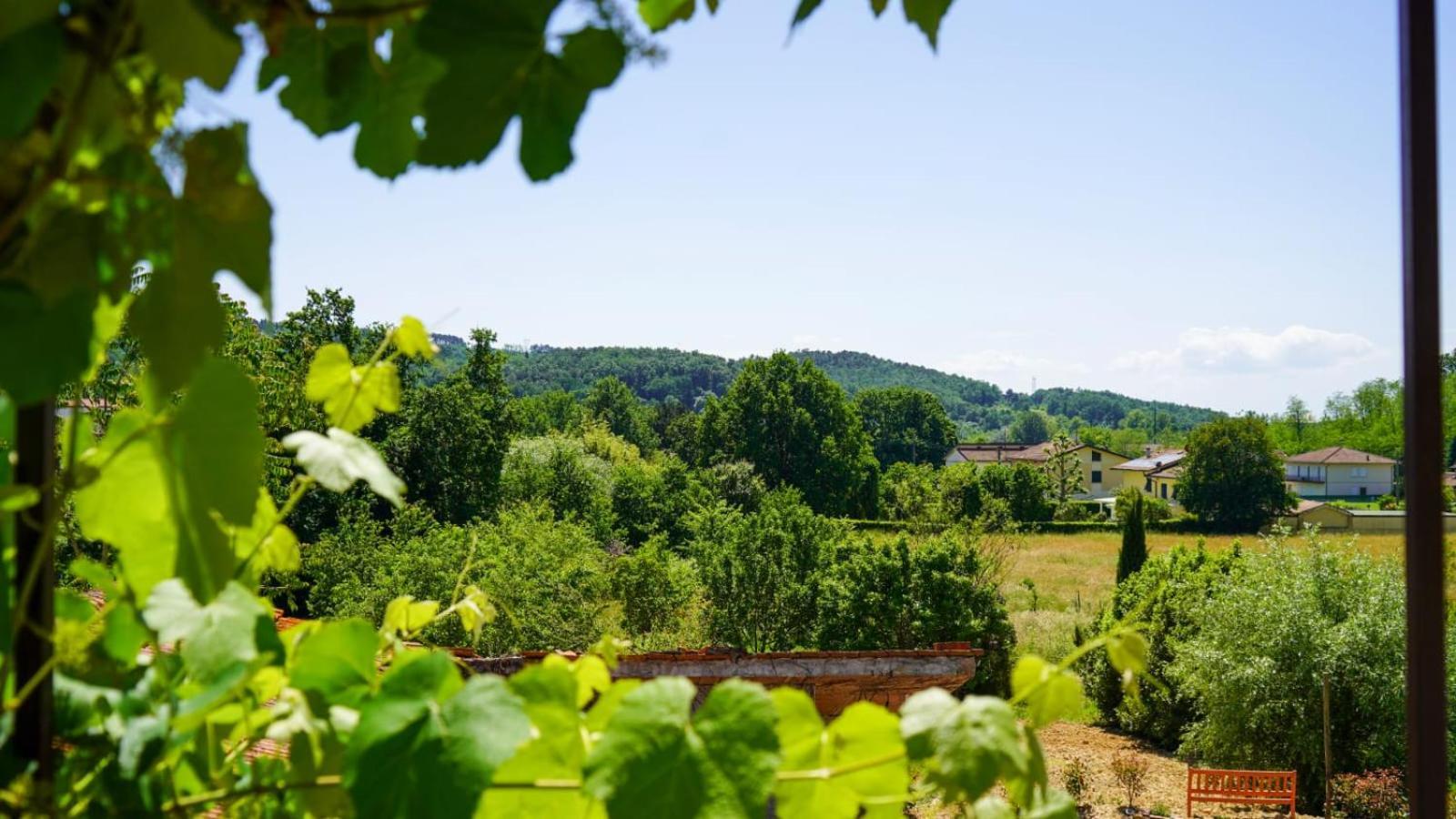 La Casa Nella Vigna Colline Del Vino Apartment คาปานโนริ ภายนอก รูปภาพ