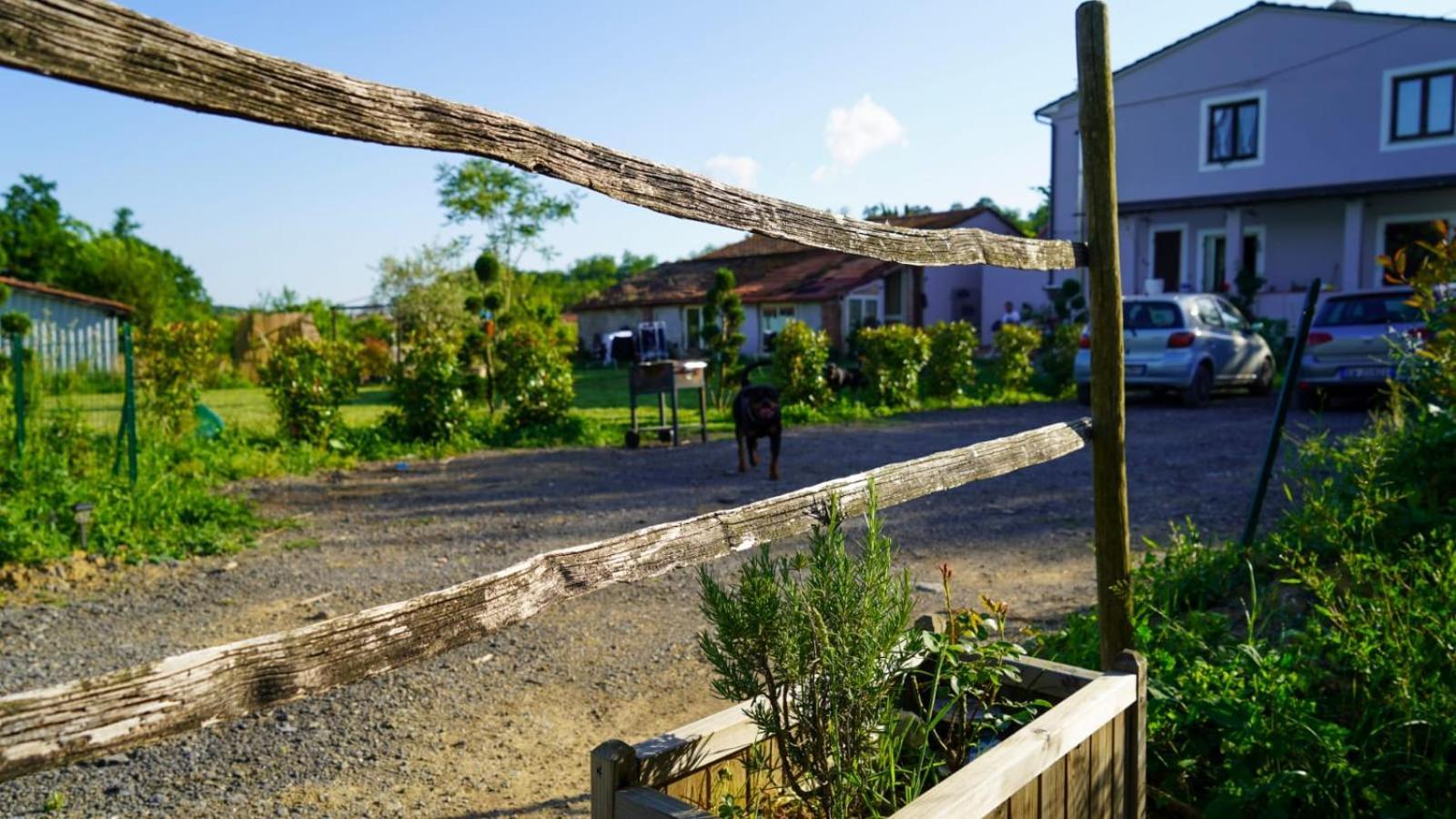 La Casa Nella Vigna Colline Del Vino Apartment คาปานโนริ ภายนอก รูปภาพ